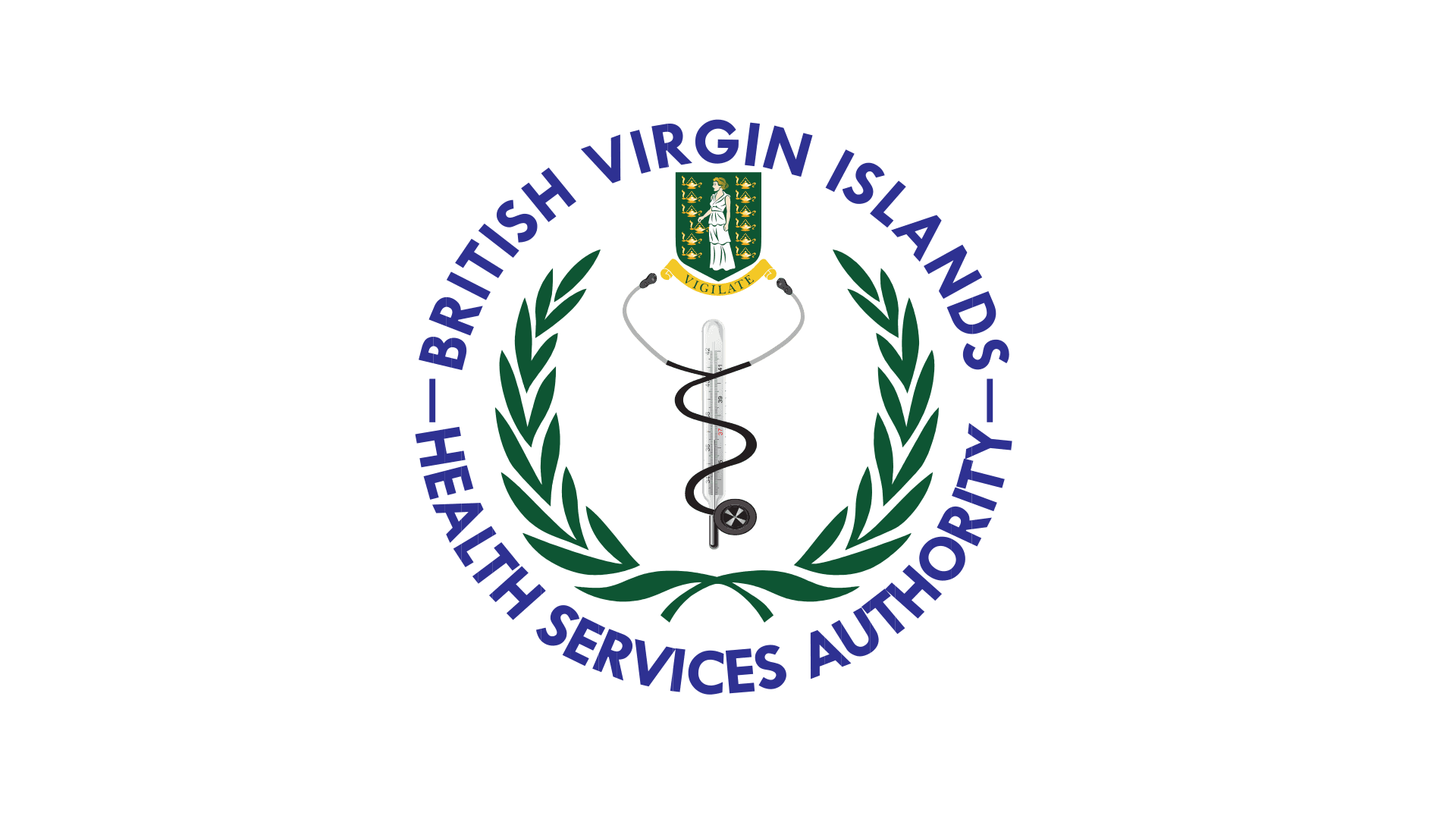 BVIHSA