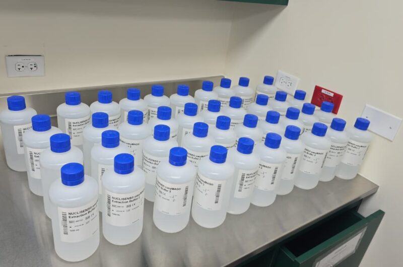 BVIHSA strengthens laboratory and antimicrobial stewardship capacity